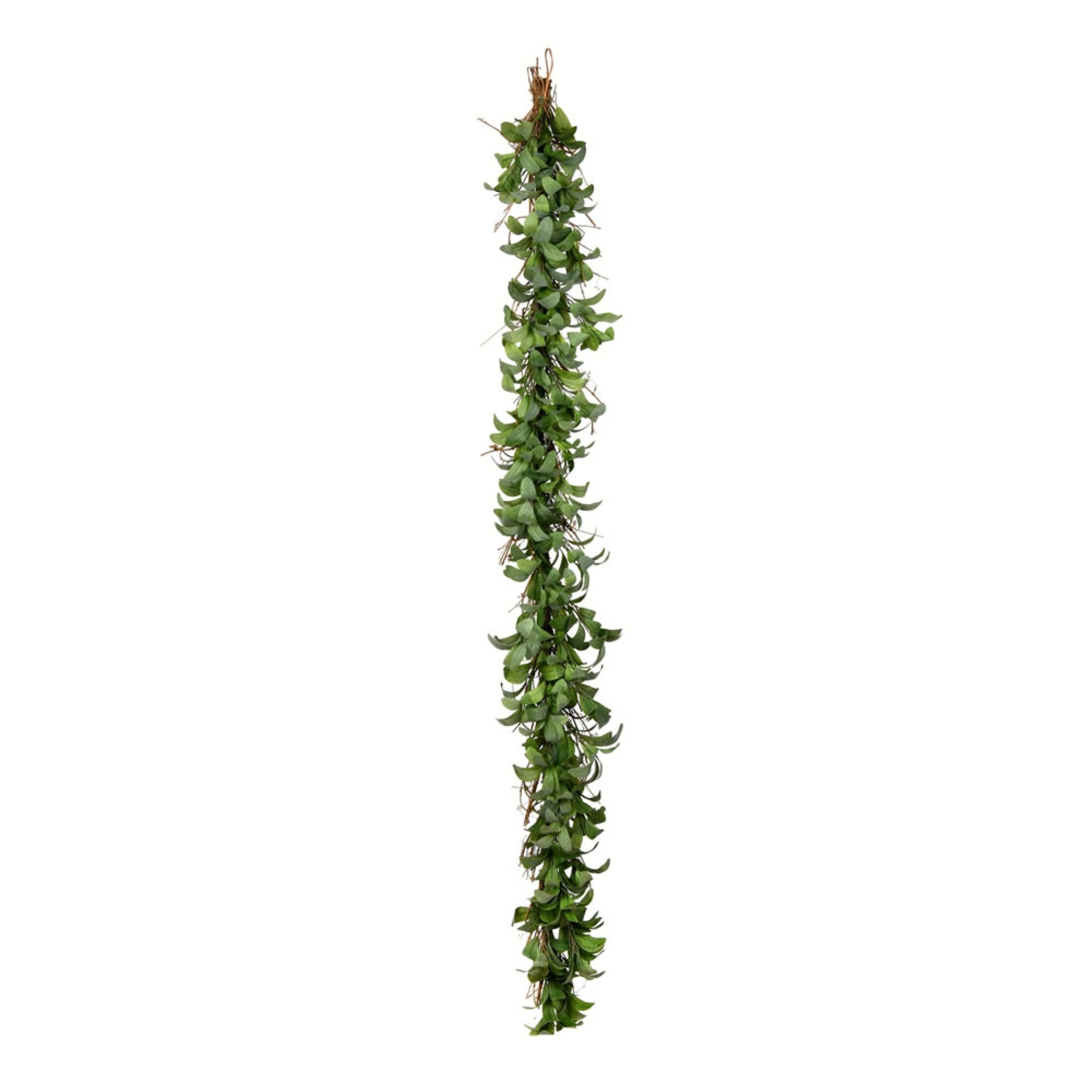 6' Lamb Ear Garland