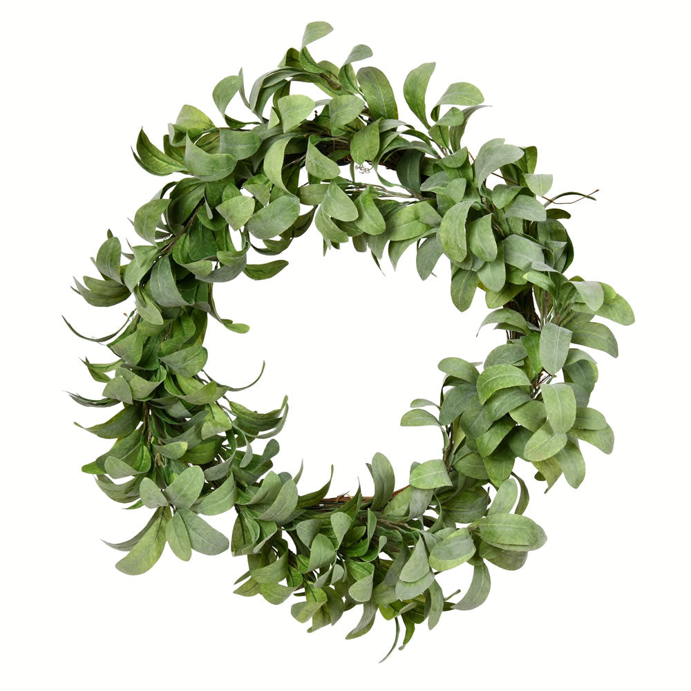 Vickerman 22” Lamb Ear Leaf Wreath - FG191222