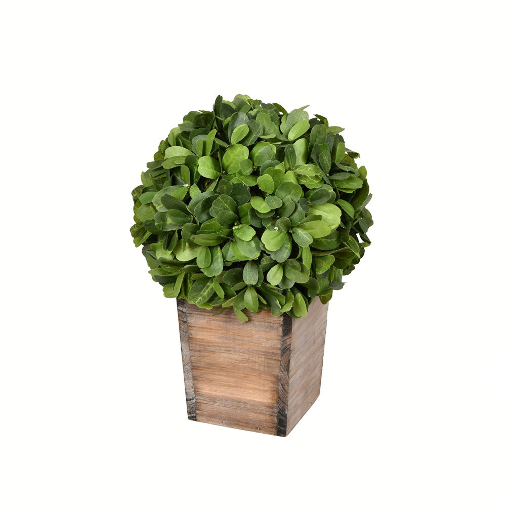 Vickerman 11” Potted Boxwood Ball - FG191311