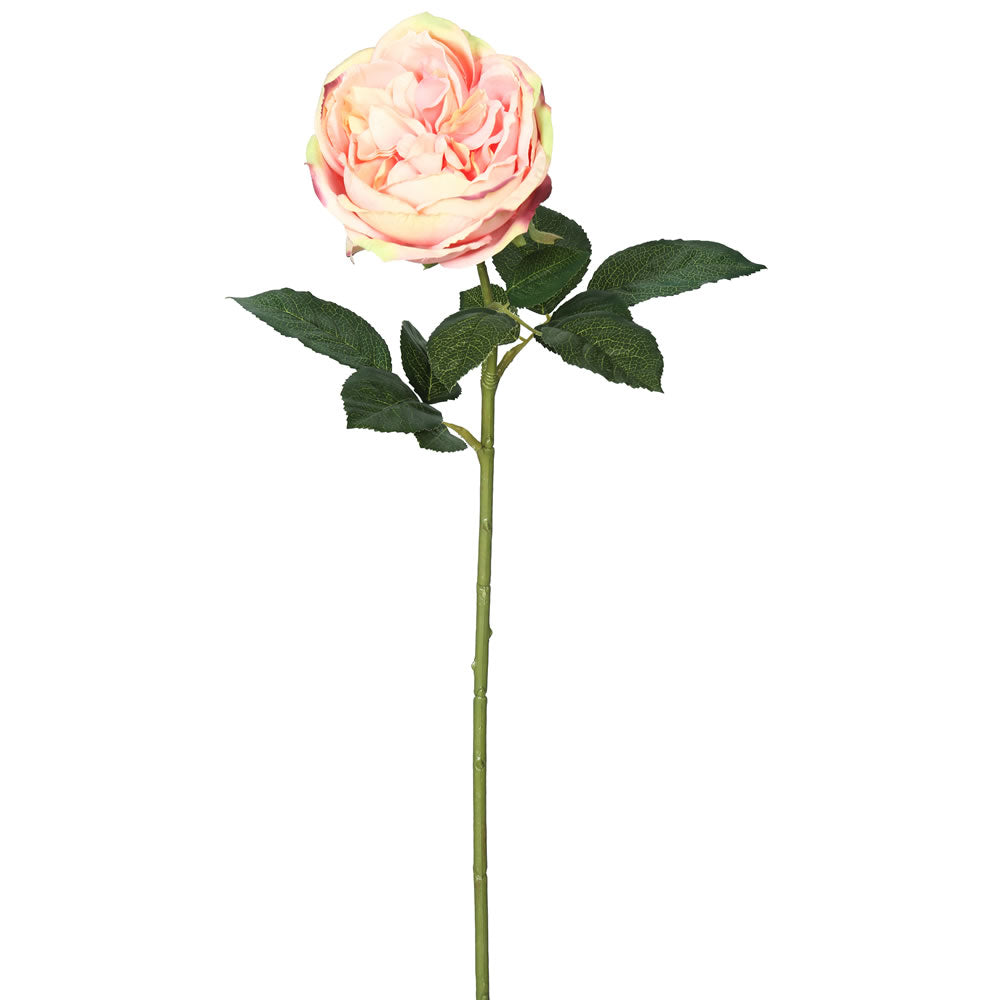 Vickerman 25″ Open Rose Stem-Lt Pink 6/pk - FH170501
