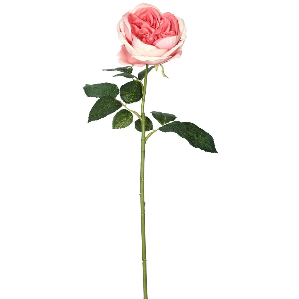 Vickerman 25″ Open Rose Stem-Dk Pink 6/pk - FH170502