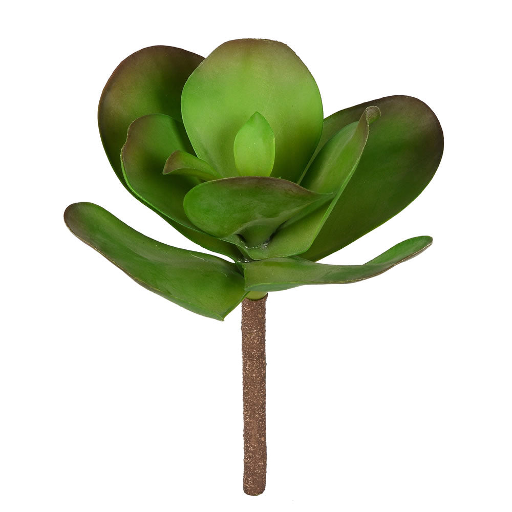 Vickerman 10” Green Succulent Stem 3/Pk - FH180101