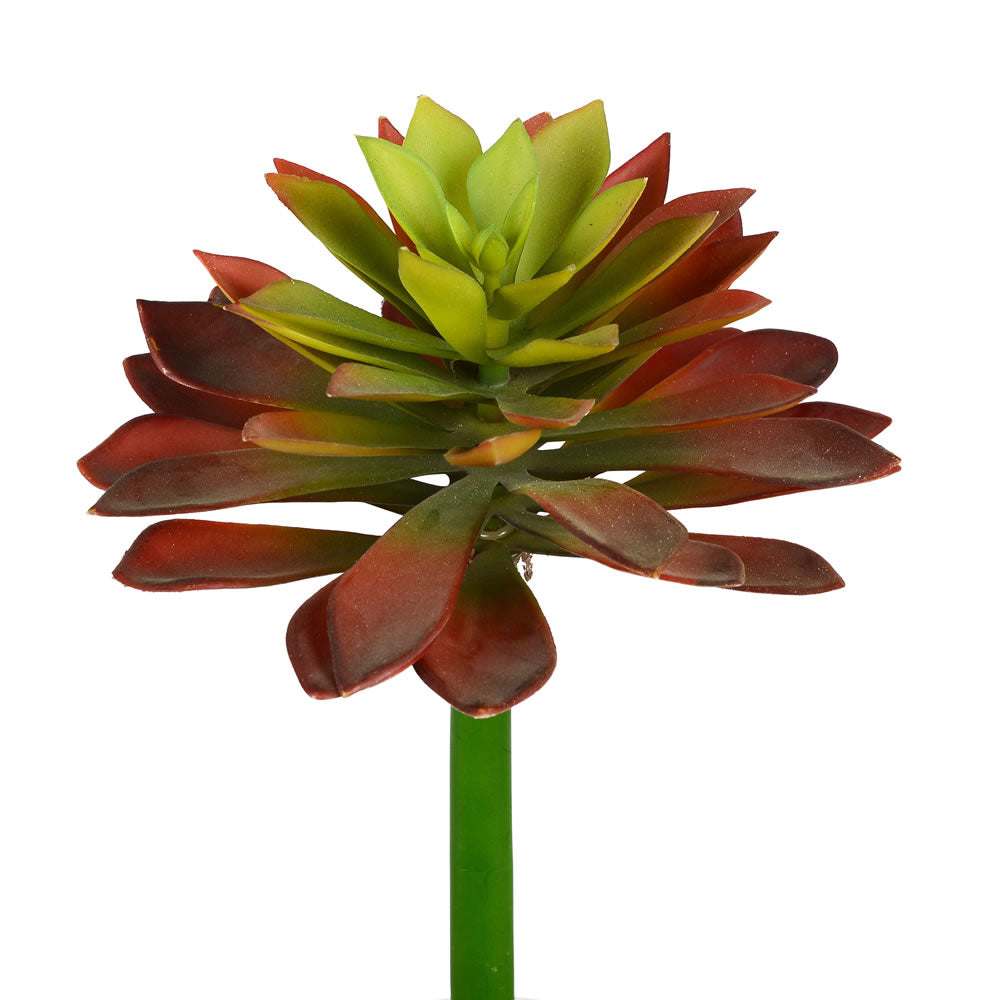 Vickerman 10” Red/Green Succulent Stem 2/Pk - FH180301