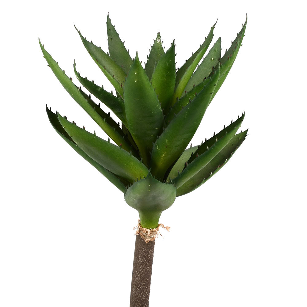 Vickerman 14” Green Succulent Stem 2/Pk - FH180601