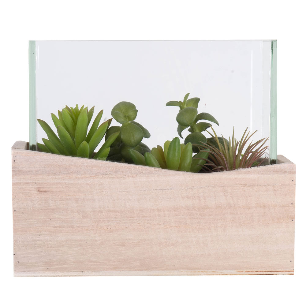 Vickerman 7Lx3.5Wx6H Asst Succulents in Glass - FH180701