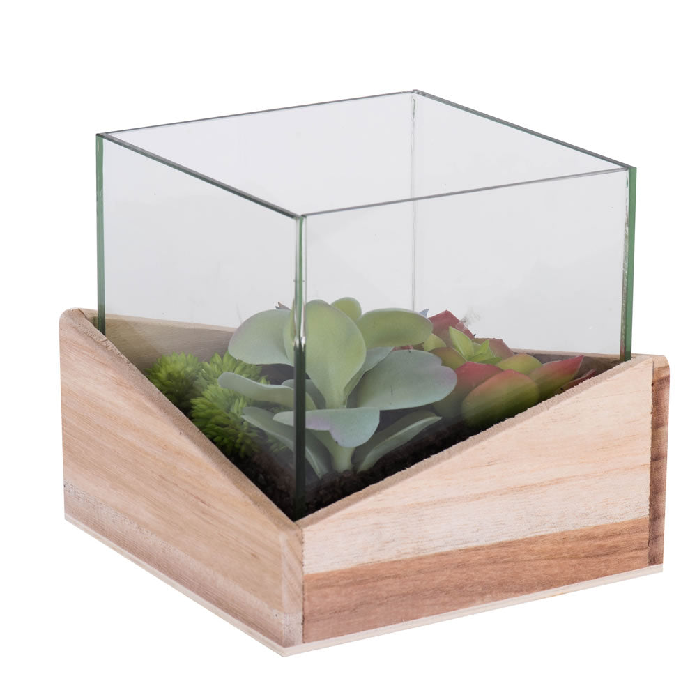 Vickerman 6Lx6Wx6H Asst Succulents in Glass Wood - FH180801