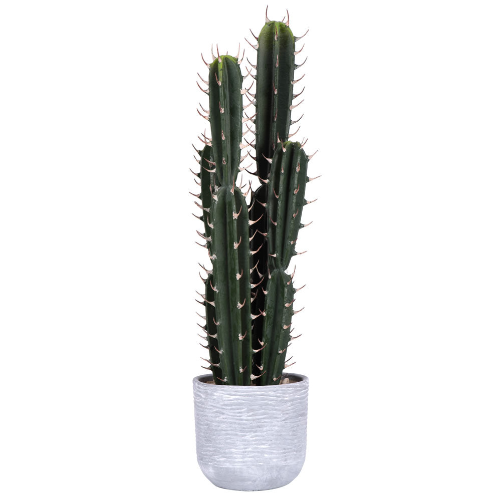 Vickerman 27.5” Green Cactus in Concrete Pot - FH181101