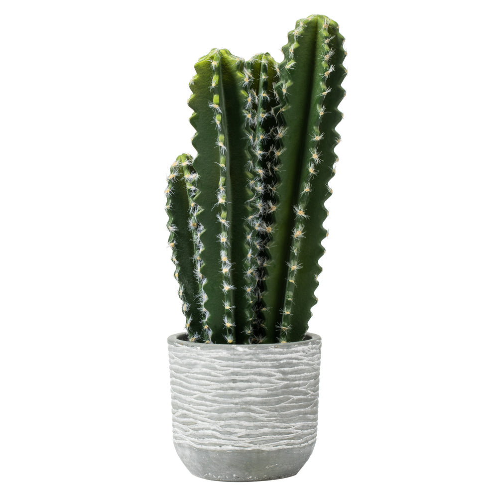 Vickerman 17” Green Cactus in Concrete Pot - FH181201