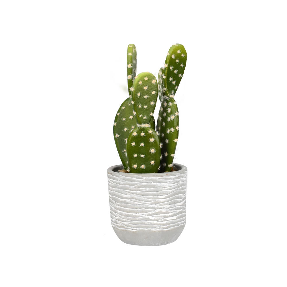 Vickerman 9.5” Green Cactus in Concrete Pot - FH181401
