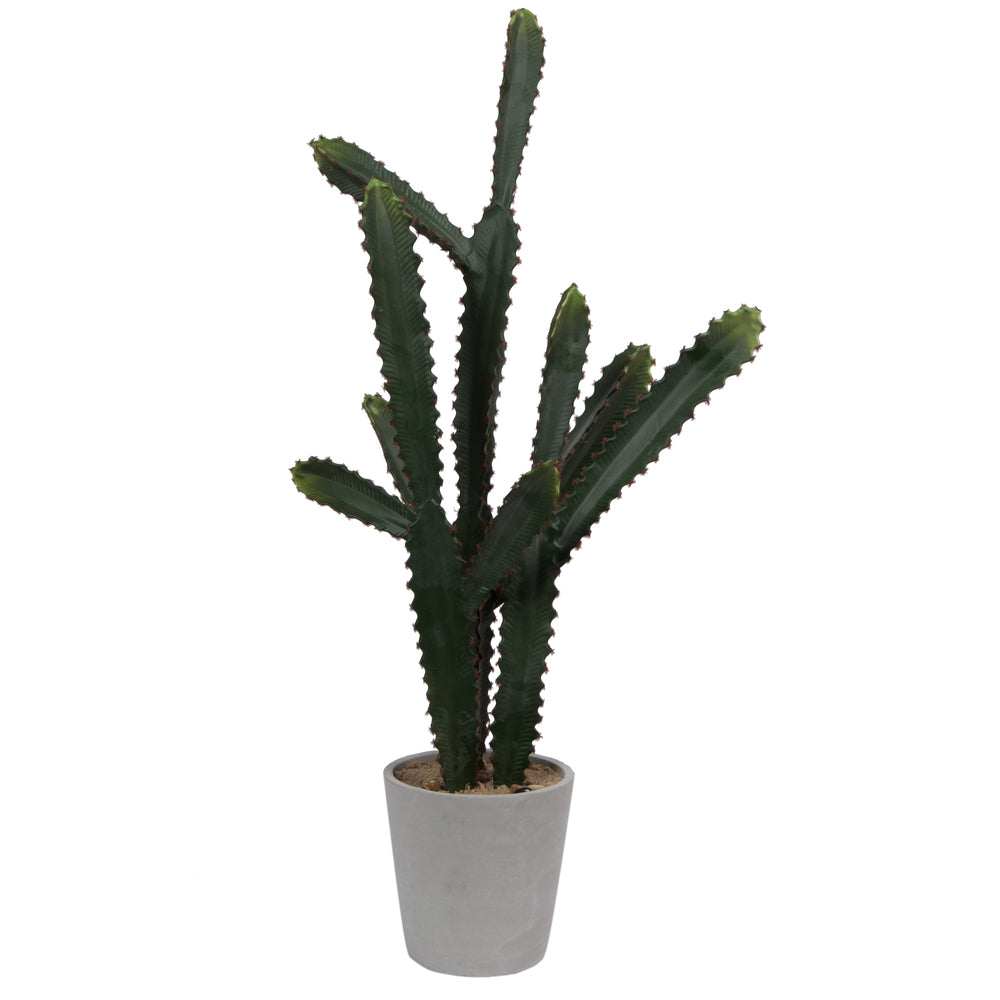 Vickerman 29”  Potted Cactus in Concrete Pot - FH181801