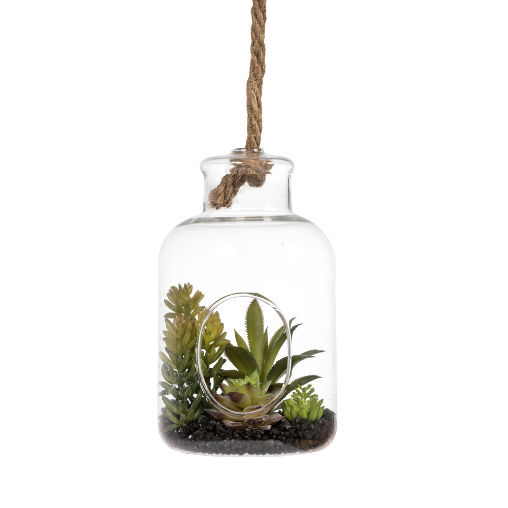Vickerman 9” Green Asst Succulents in Glass Jar - FH182601
