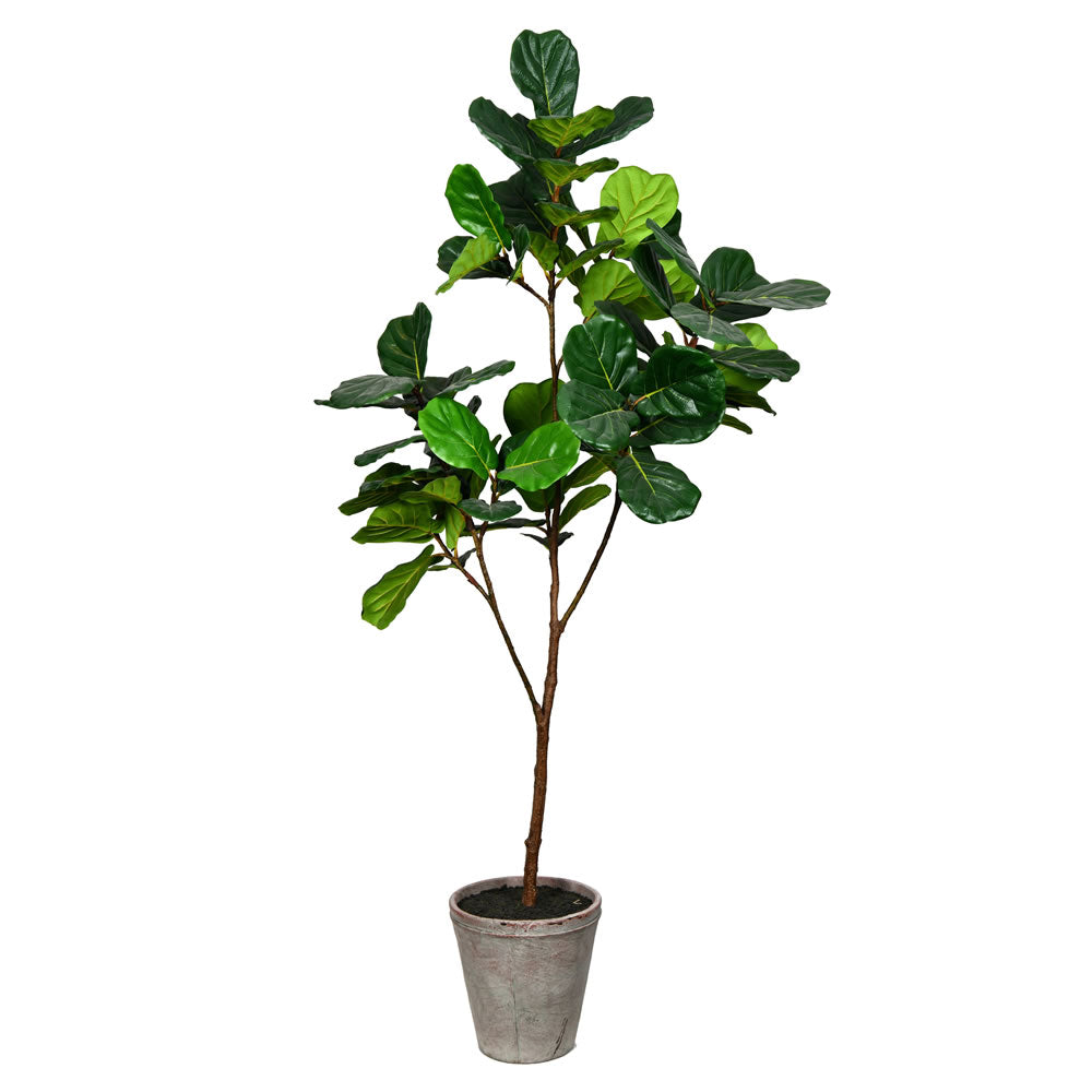 Vickerman 5' Green Potted Fiddle Tree - FH190150