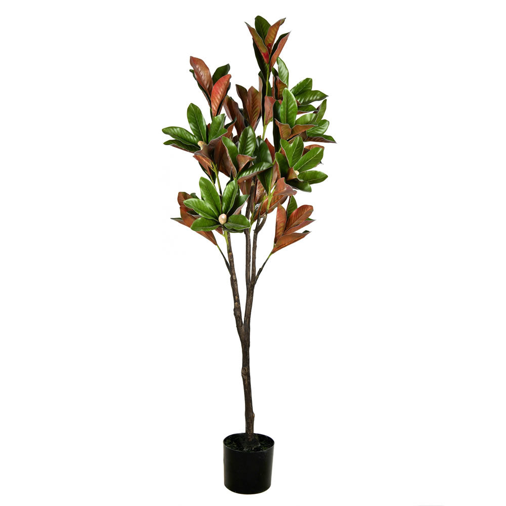 Vickerman 6' Green Potted Magnolia Tree - FH190260