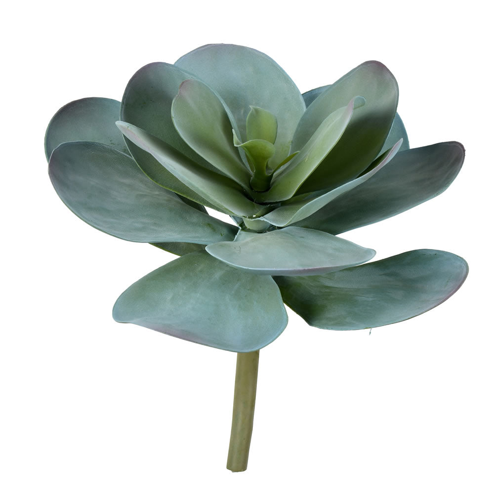 Vickerman 12” Blue Succulent Stem - FH190612