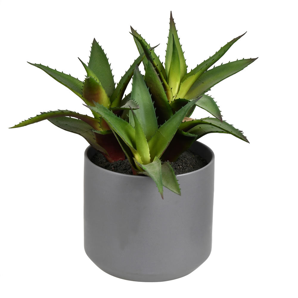 Vickerman 10” Green Potted Aloe - FH191010