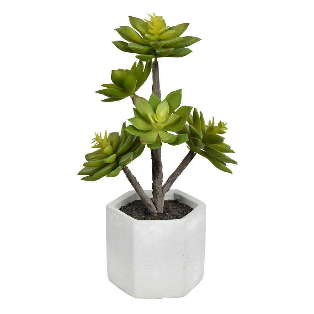 Vickerman 13” Green Potted Succulent - FH191213