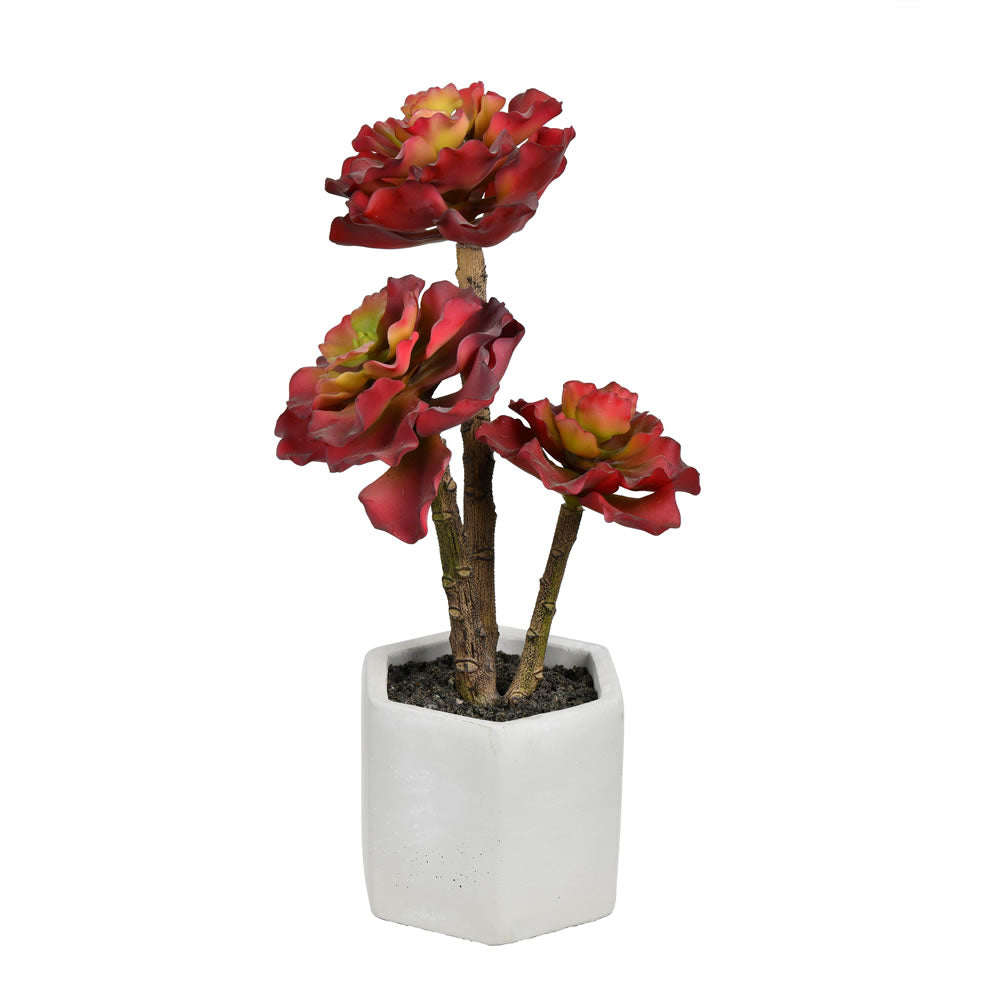 Vickerman 13” Red Potted Succulent - FH191313