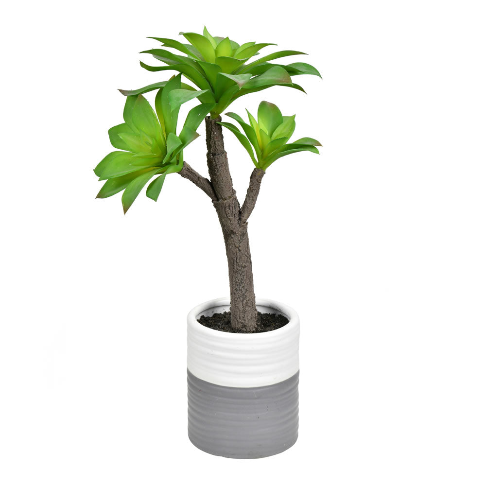 Vickerman 15” Green Potted Succulent - FH191415
