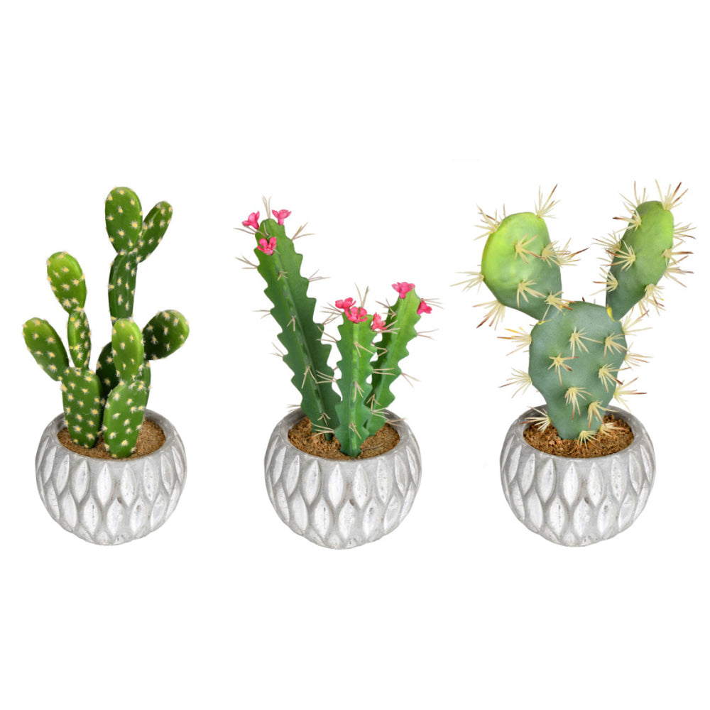 Vickerman 10” Green Potted Cactus (Set/3 Asst) - FH191610