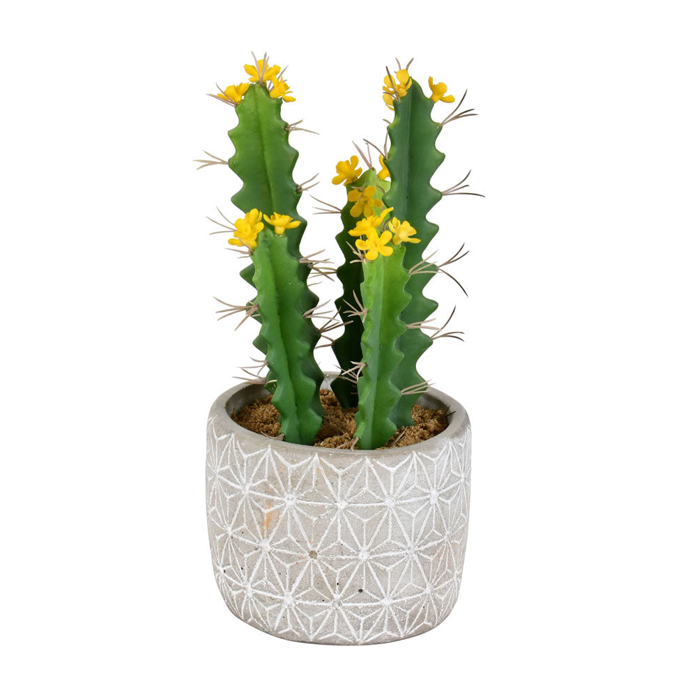 Vickerman 12” Green Potted Cactus - FH191712