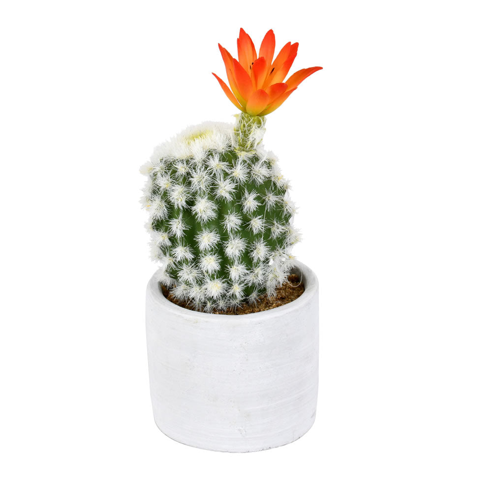 Vickerman 9” Green Potted Cactus 2/Pk - FH191809