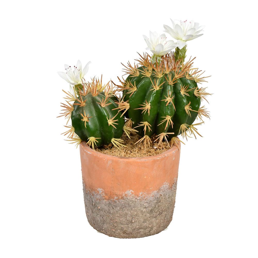Vickerman 9” Green Potted Cactus - FH192109