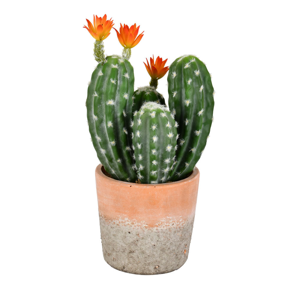 Vickerman 14” Green Potted Cactus - FH192214