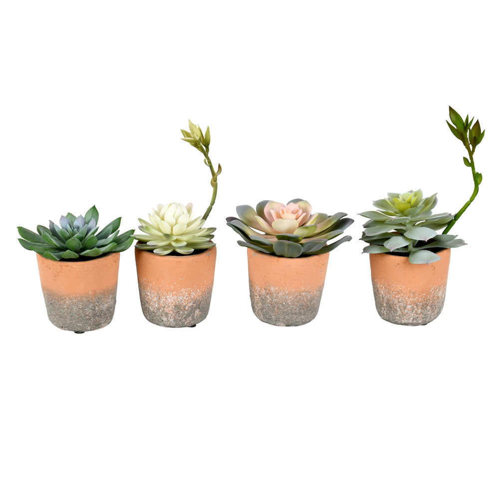 Vickerman 7” Green Succulents in Pot (St/4 Asst) - FH192304