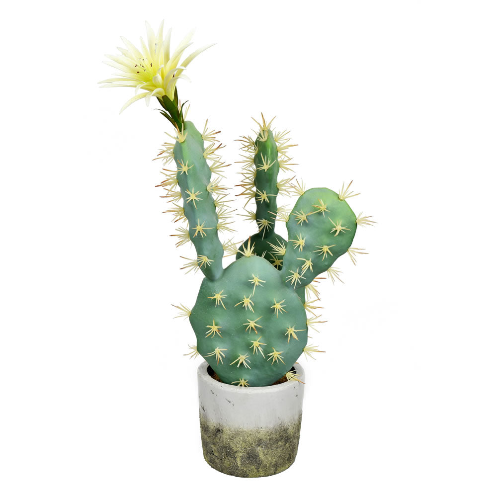 Vickerman 18” Green Potted Cactus - FH192501