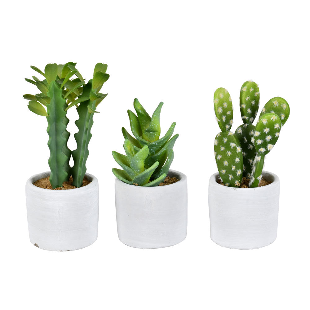 Vickerman 7” Green Potted Cactus Set of 3 Asst - FH192701