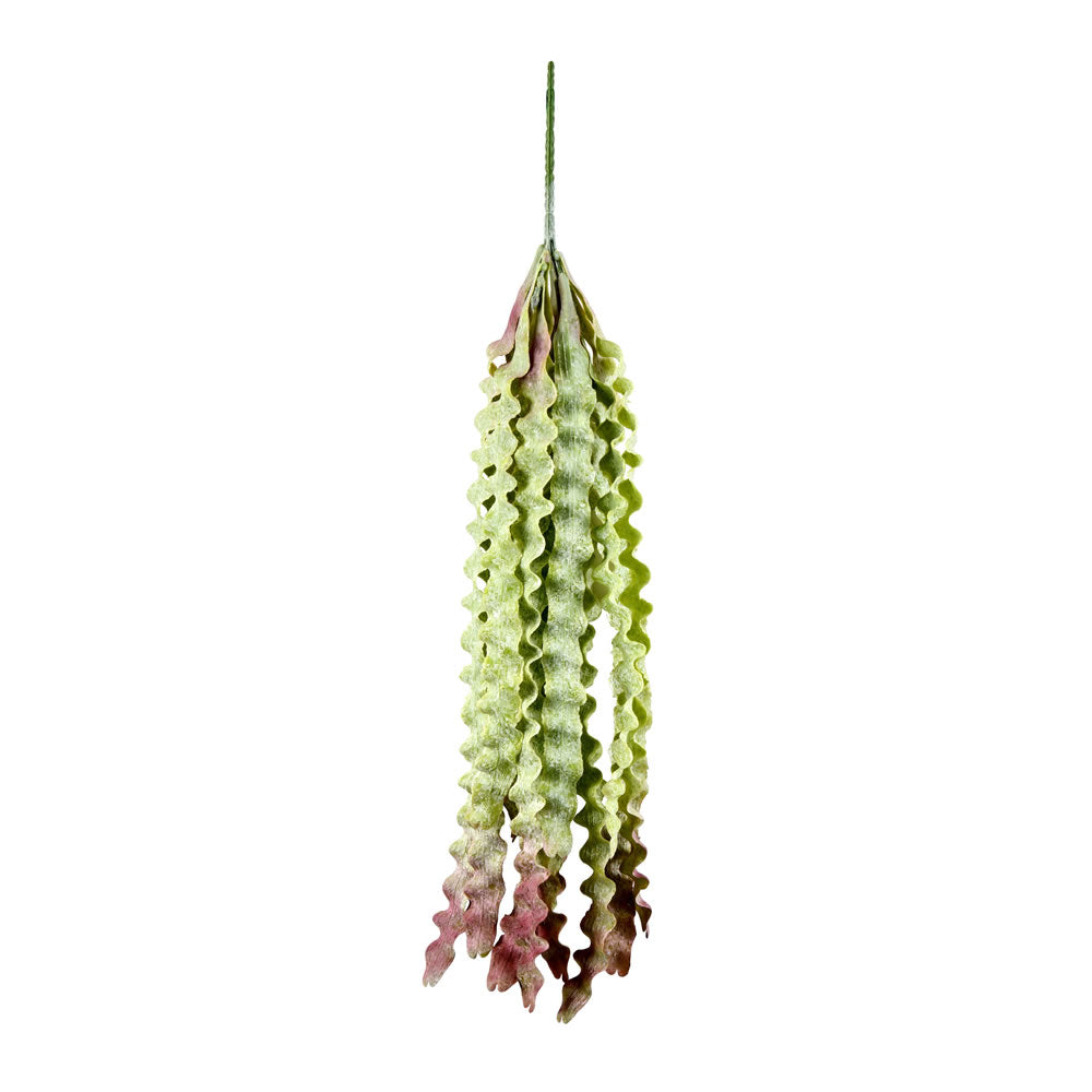 Vickerman 22” Green Seatangle Plant Pk/2 - FI190822