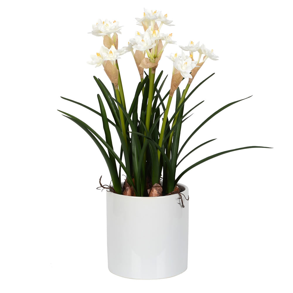 Vickerman 16.5” White Daffodil in Ceramic Pot - FJ180301