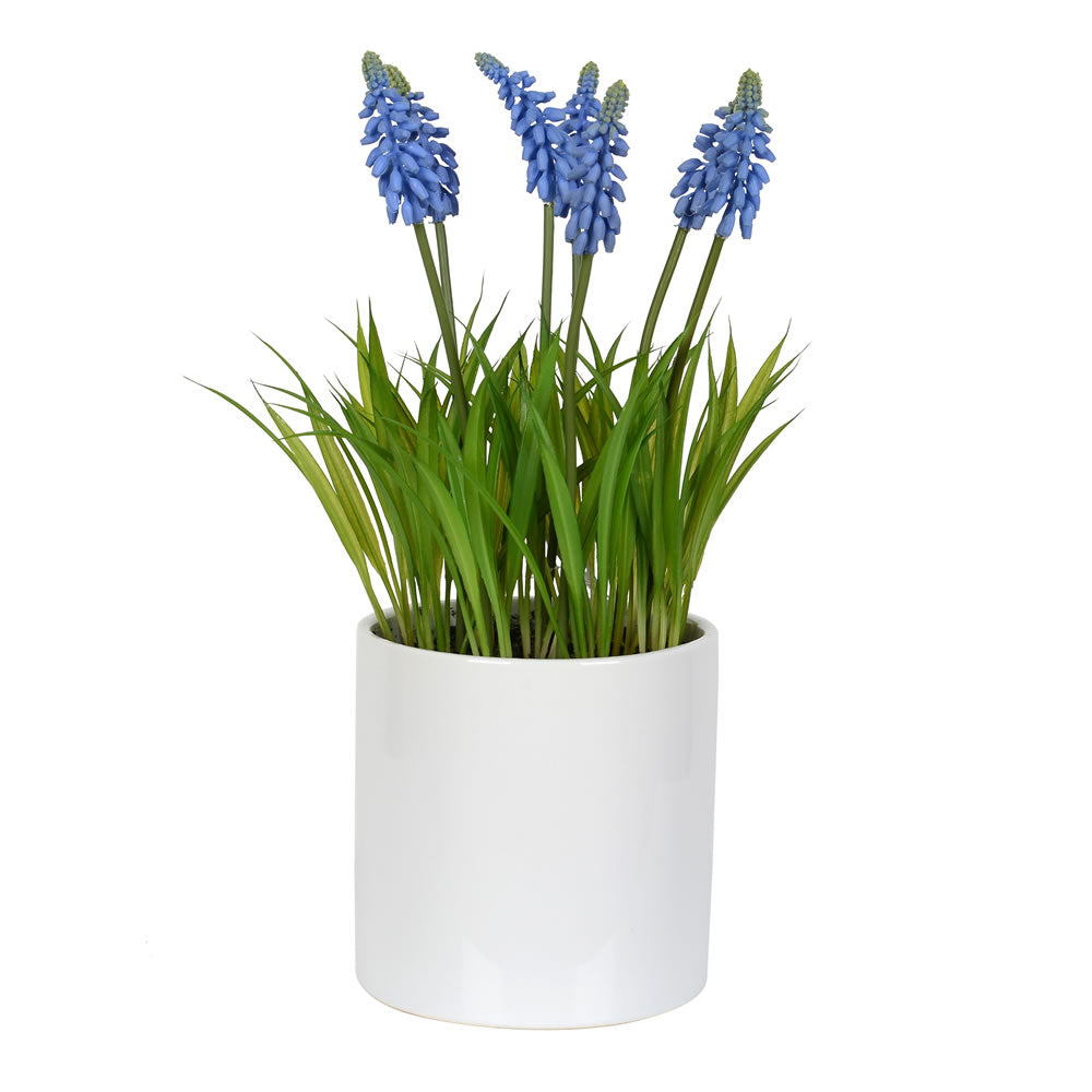 Vickerman 13.5” Hyacinth Flower in Ceramic Pot - FJ180401