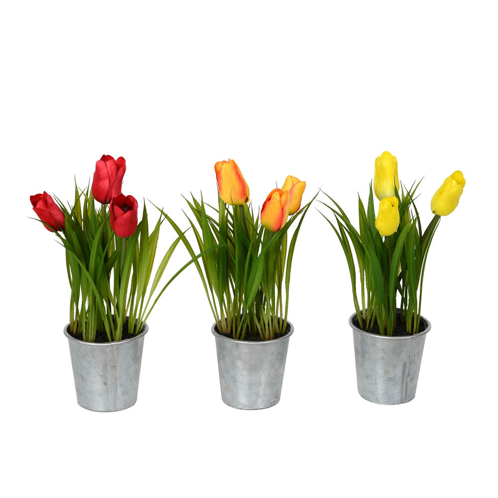Vickerman 9.5” Asst Tulip in Metal Pot 3/set - FJ181101