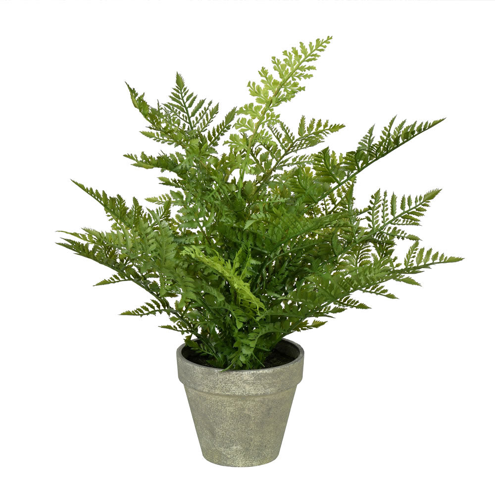 Vickerman 19” Green Fern In Pot - FJ190419