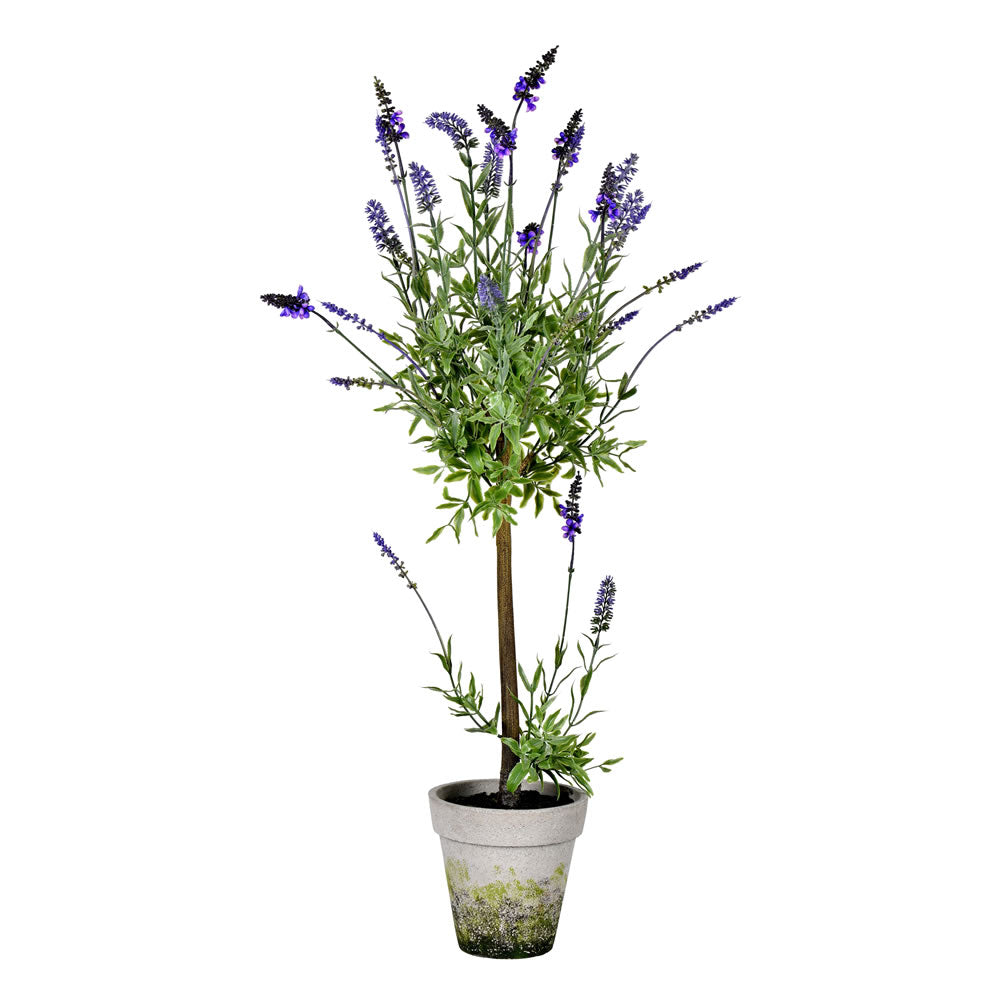 Vickerman 36” Lavender In Cement Pot - FJ190536