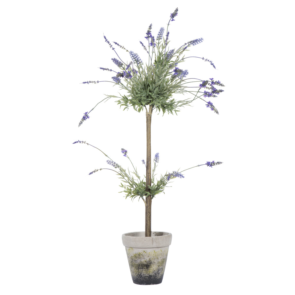 Vickerman 44” Lavender In Cement Pot - FJ190544