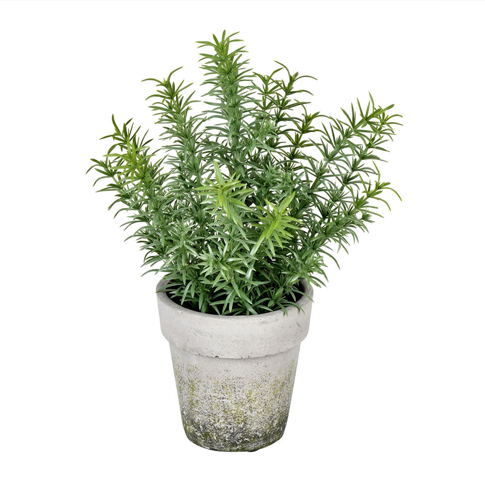 Vickerman 12.5” Green Plant In Pot - FJ190612
