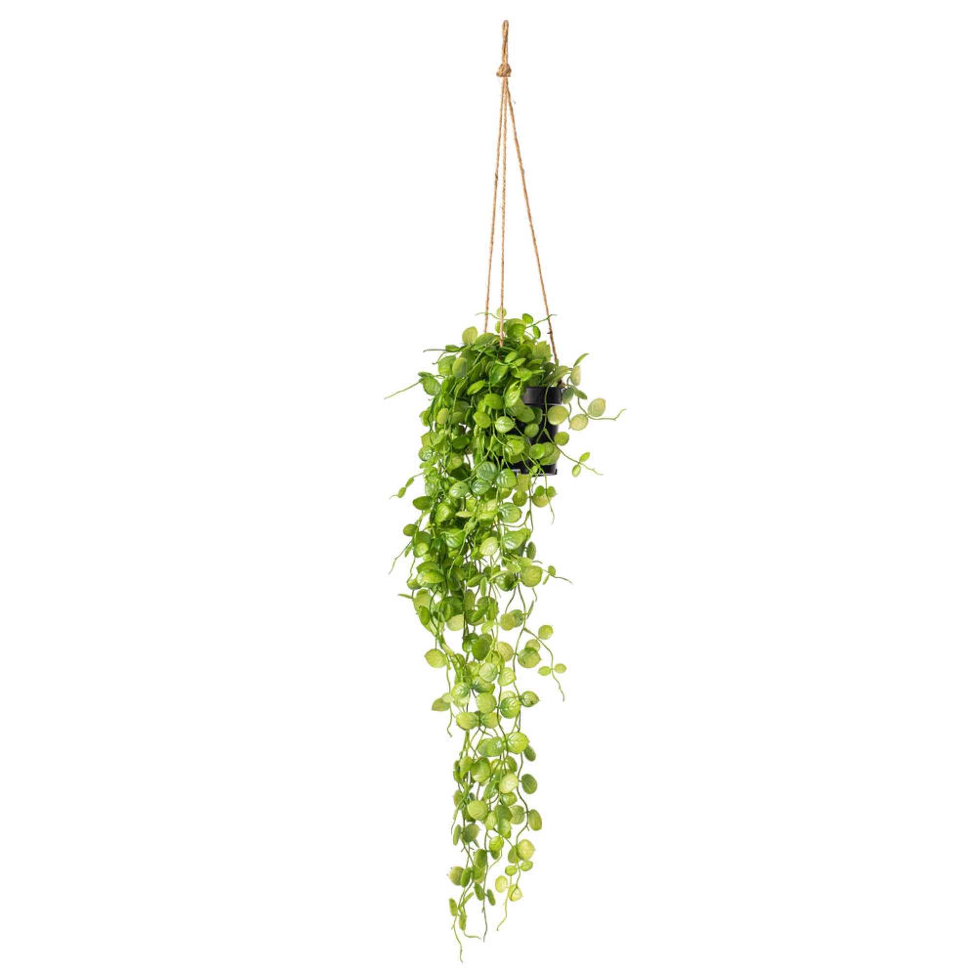 Vickerman 29” Artificial Green Mini Leaf Ivy in Hanging Pot.