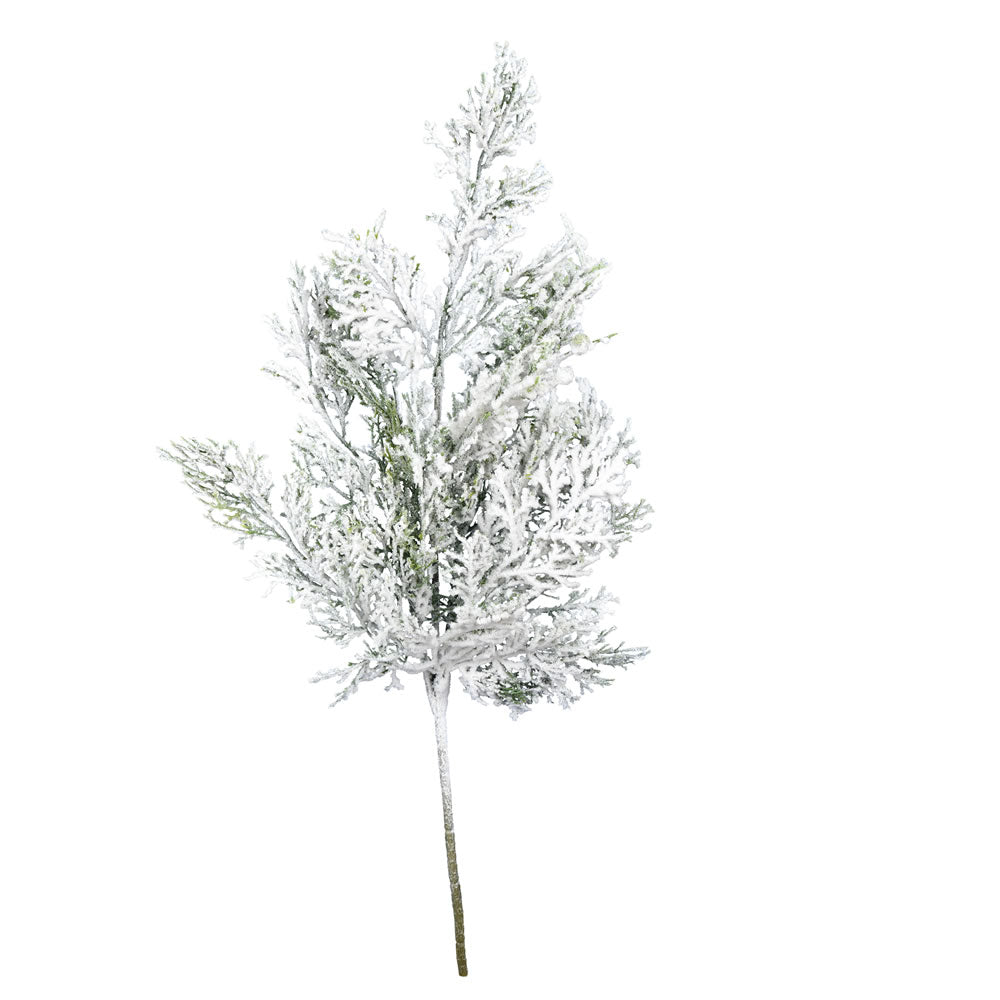 Vickerman 18” Snowy Cedar Spray 6/pk - FJ192002