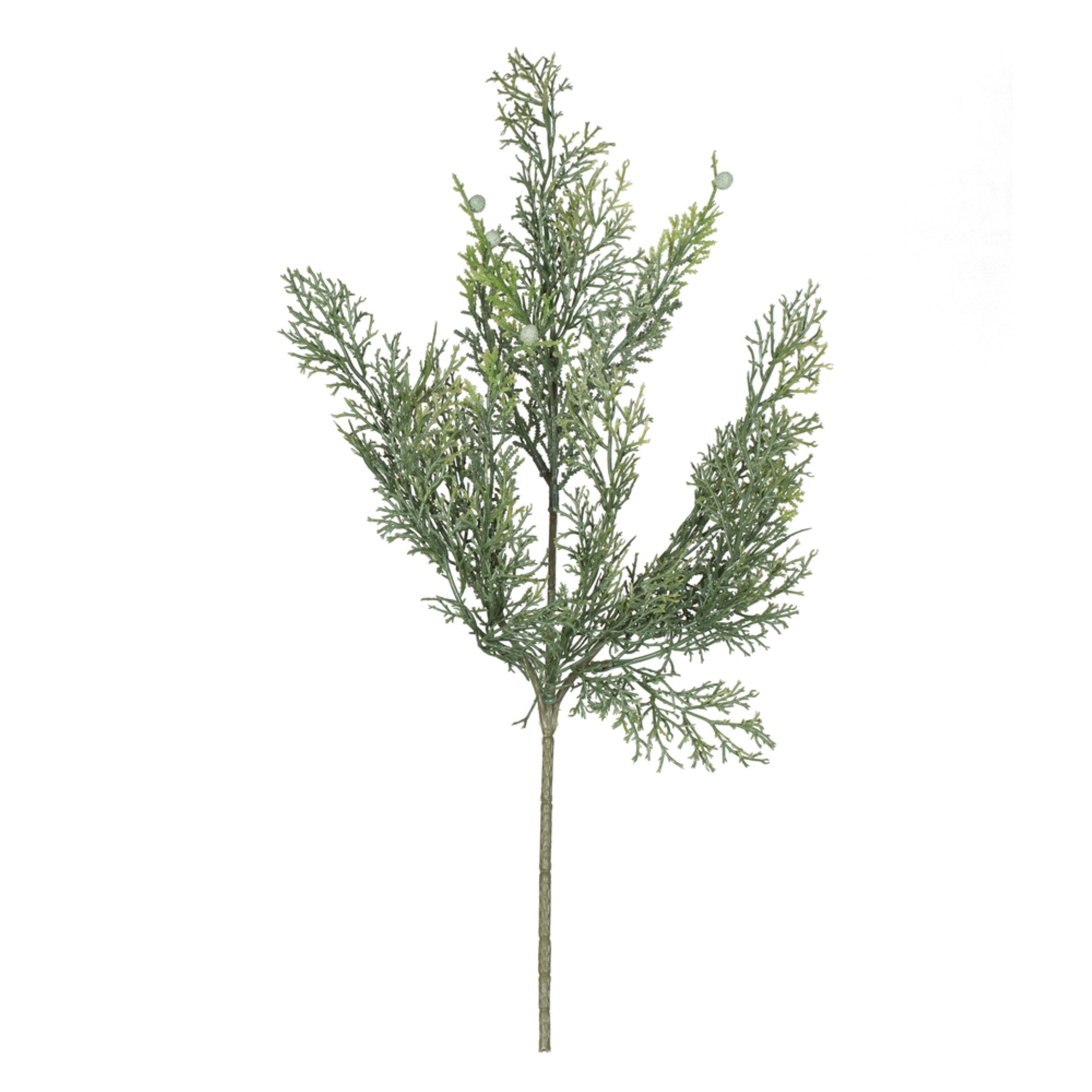 18” Cedar Spray 6/Bag