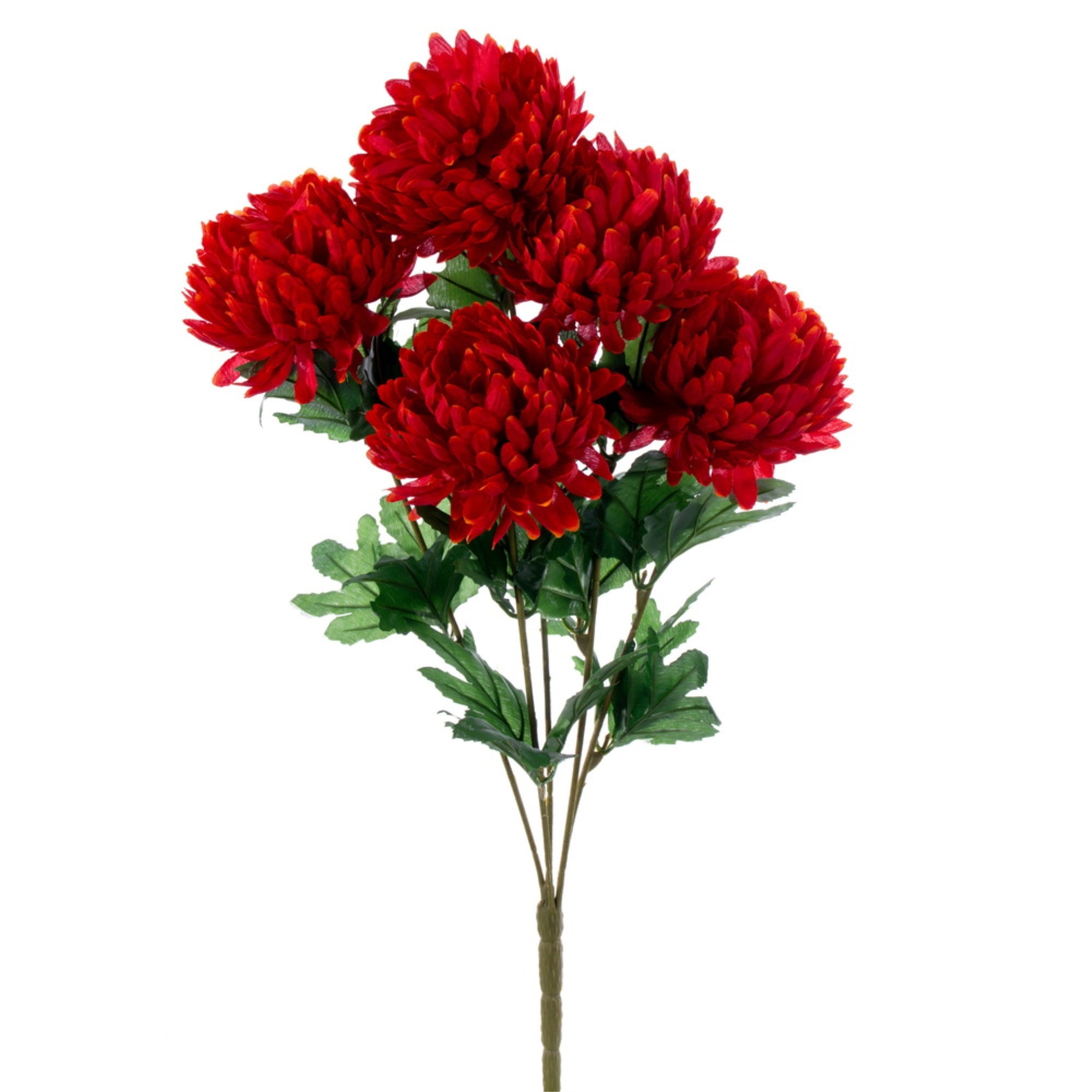 23” Crimson Red Mum Bush x 5