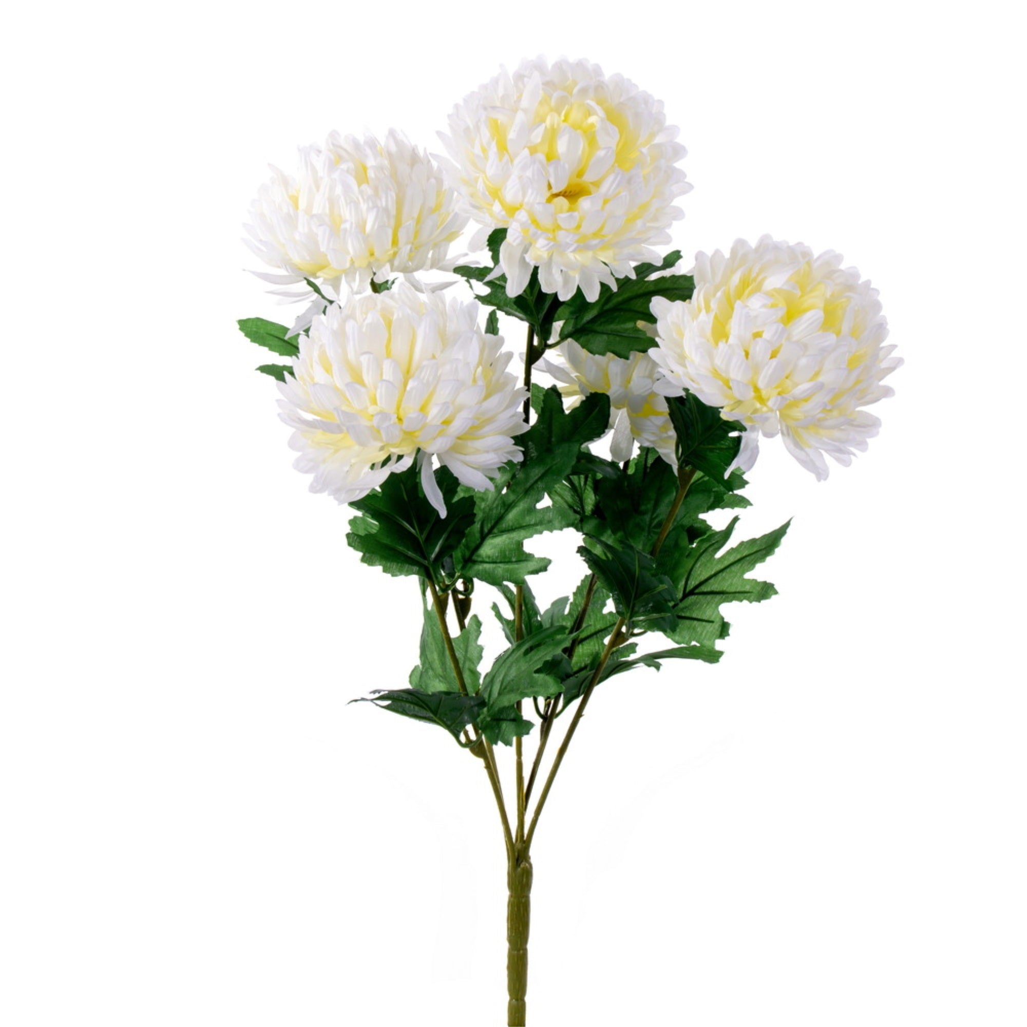 23” White Yellow Mum Bush x 5