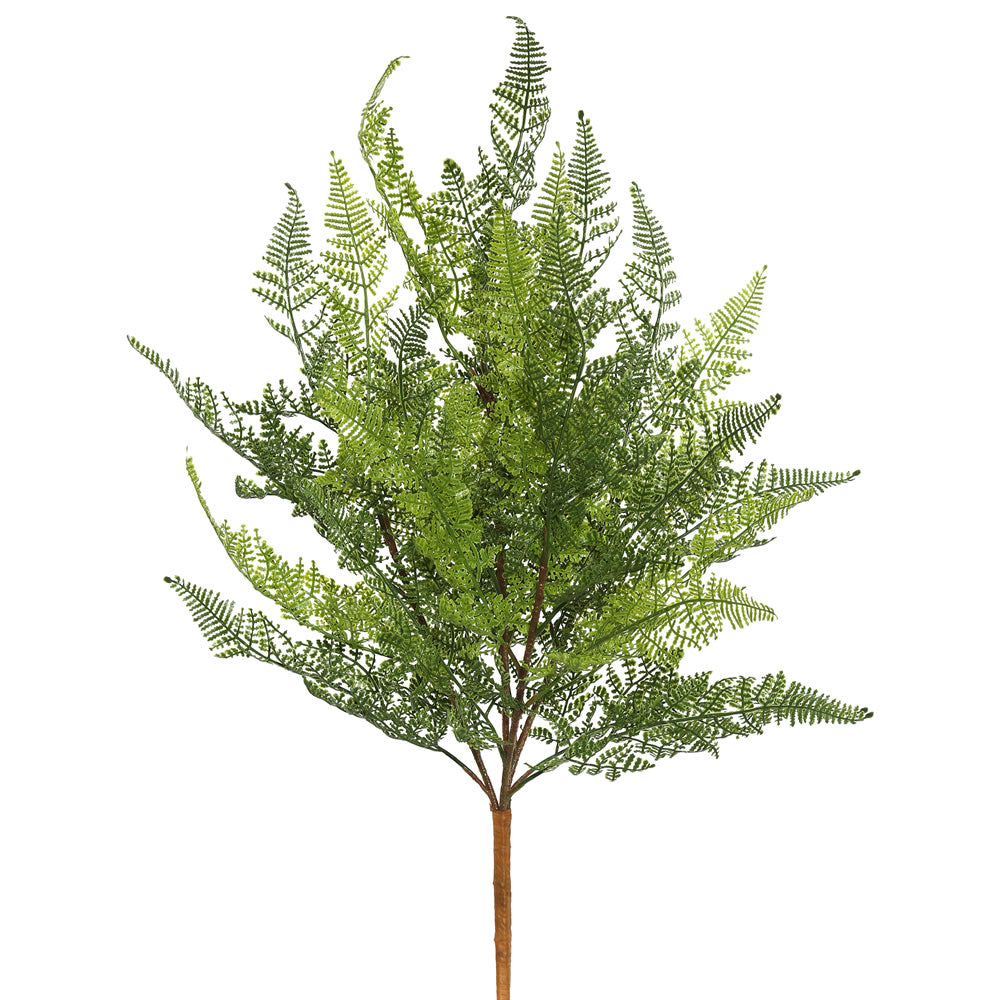 Vickerman 21.5″ Green Lace Fern Bush - FK170602