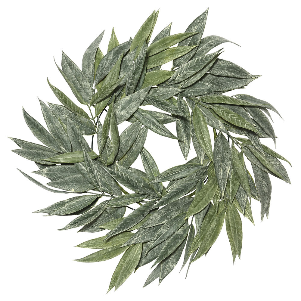 Vickerman 24″ Green Muddy White Willow Wreath - FK172401
