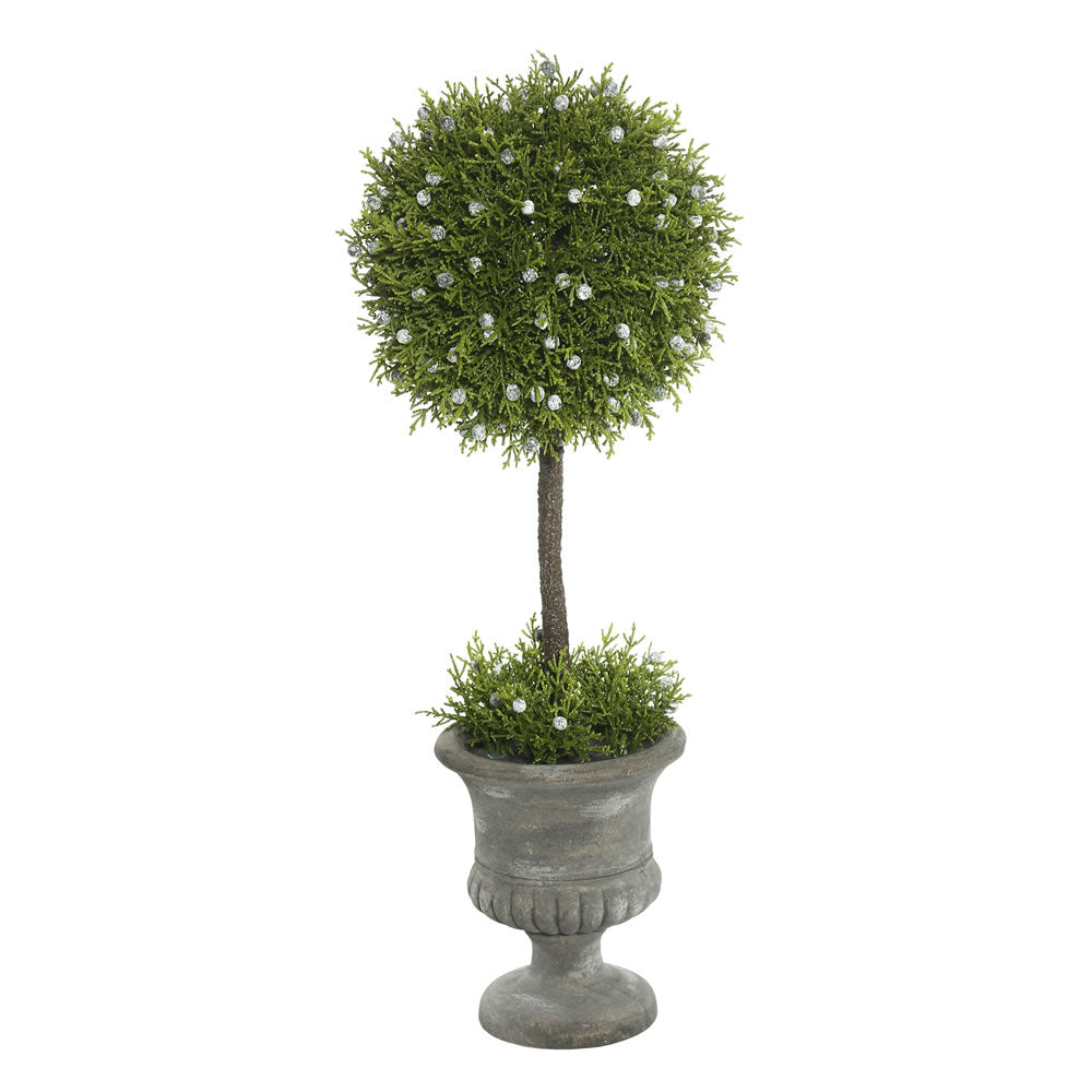Vickerman 21″ Oregon Juniper Topiary In Container - FK172502