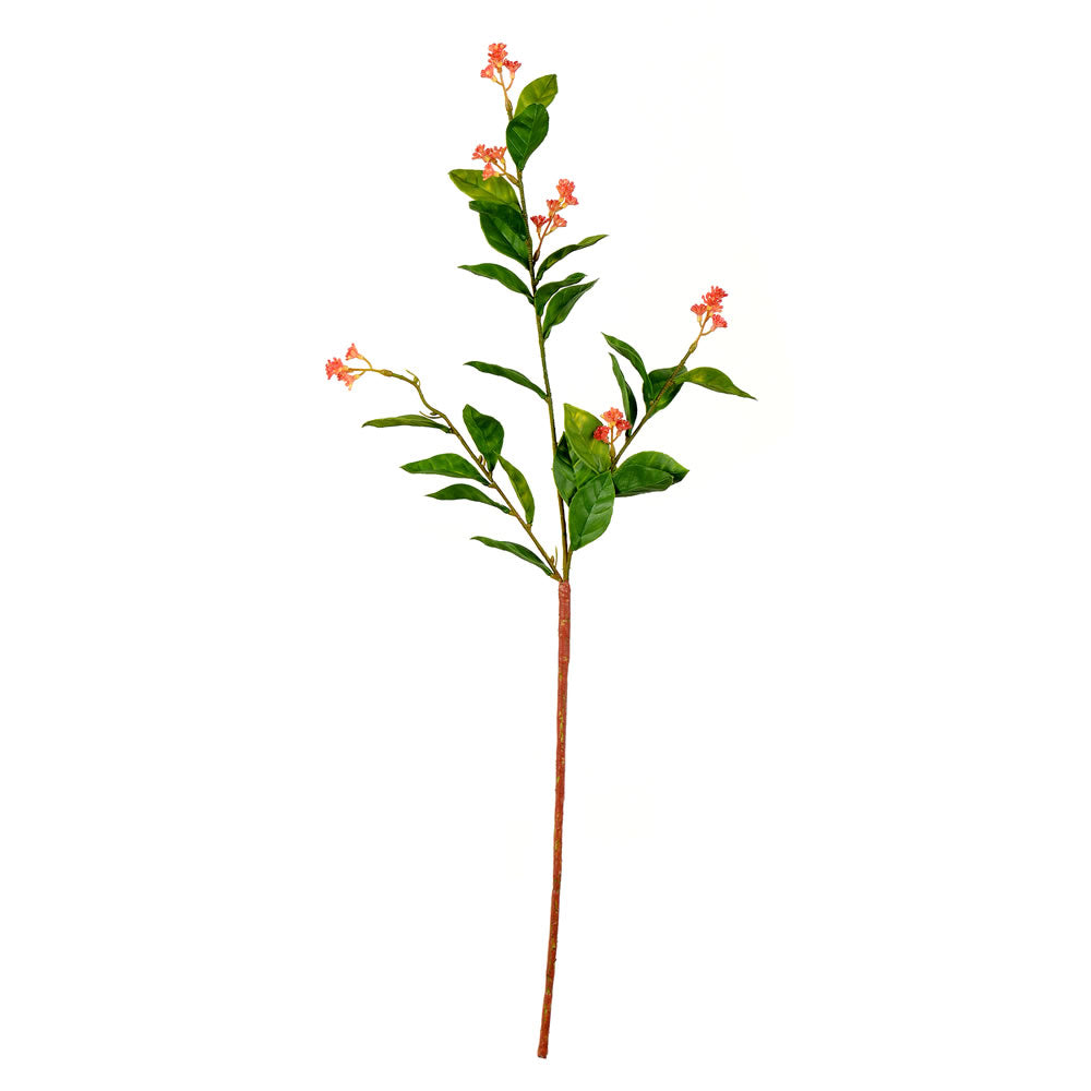 Vickerman 25” Green Scimmia Leaf/Flower Spray 6/Pk - FK181401
