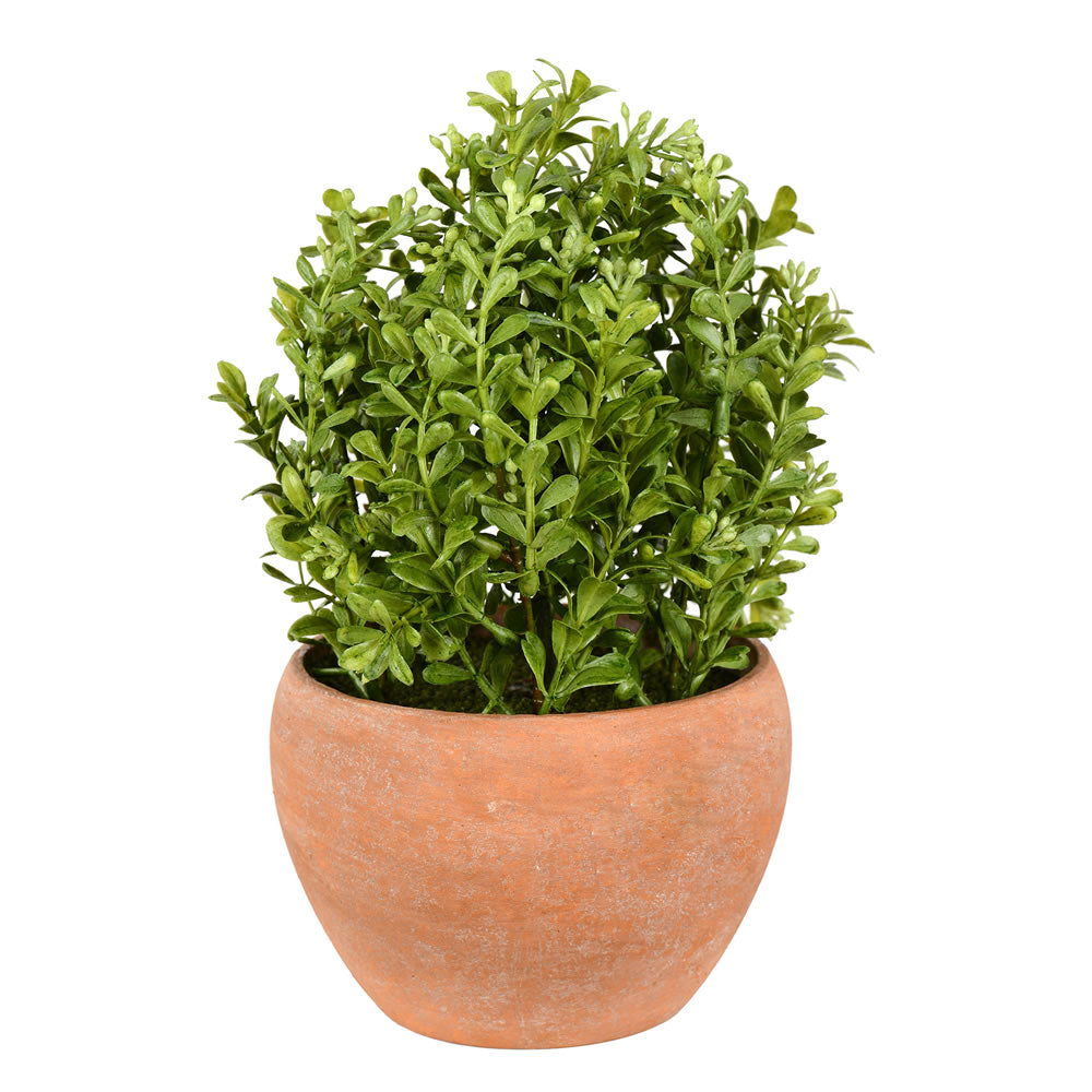 Vickerman 10” Green Boxwood Modern Bush/Container - FK181502