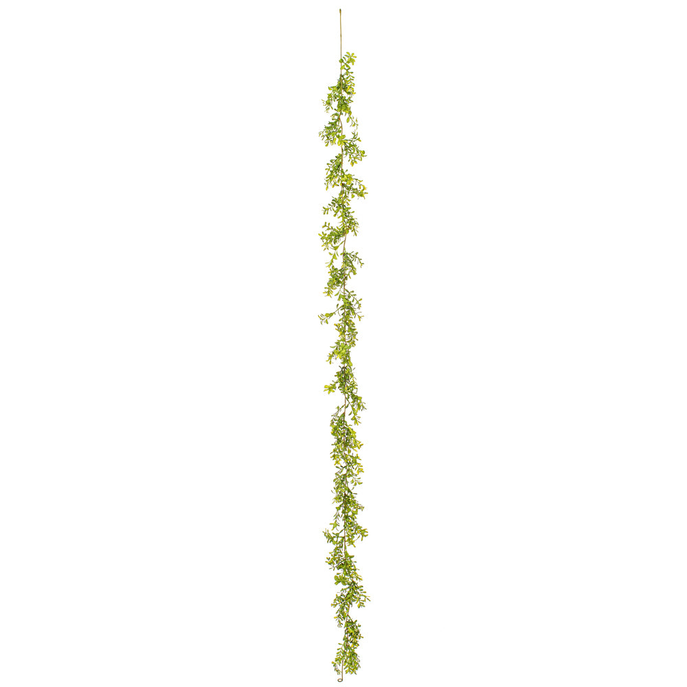 6' Green Boxwood Modern