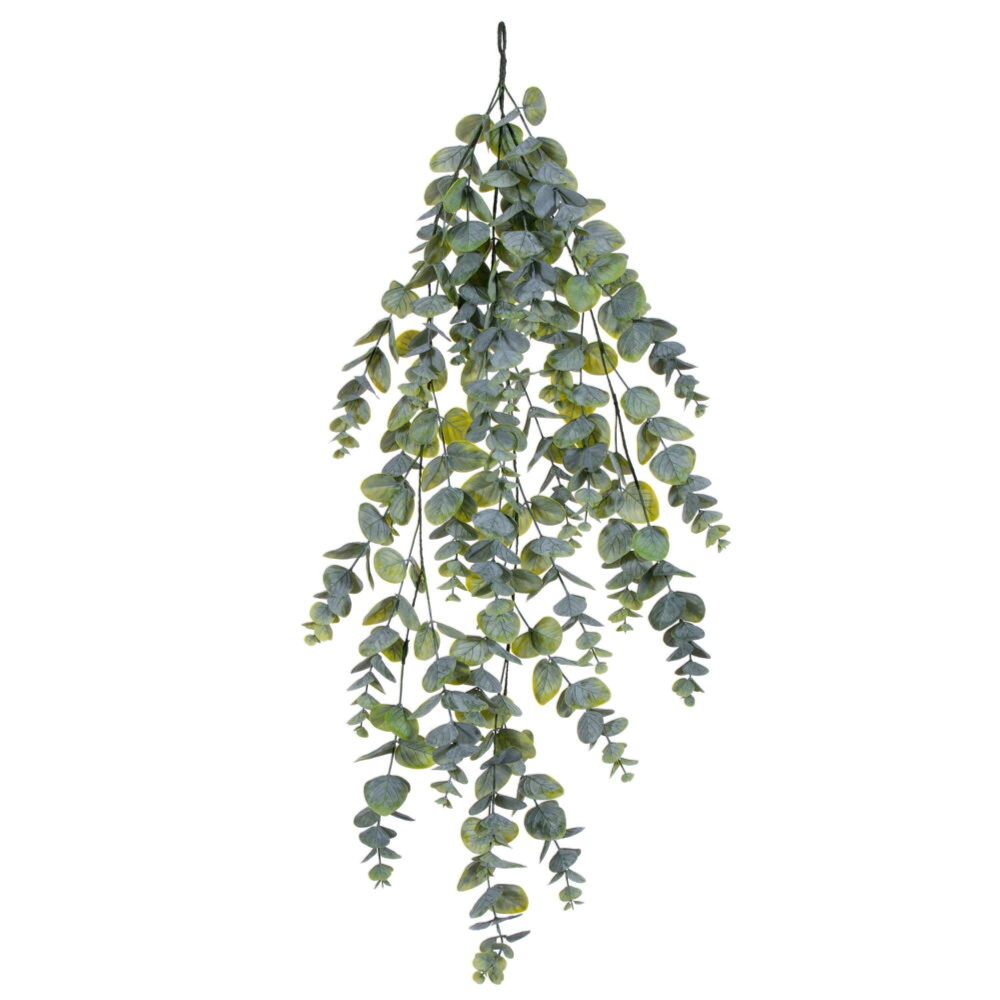 36” Green Spiral Eucalyptus Vine